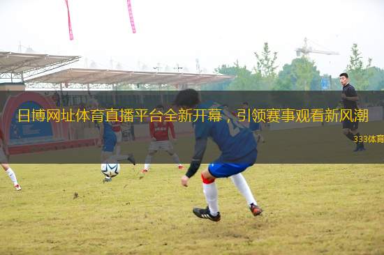 日博網址體育直播平臺全新開幕，引領賽事觀看新風潮