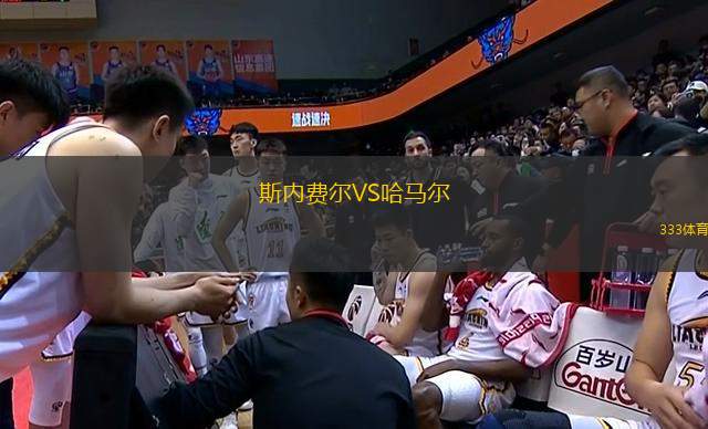 斯內(nèi)費爾VS哈馬爾