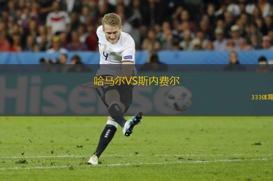 哈馬爾VS斯內(nèi)費爾
