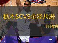 櫪木SCVS金澤共進(jìn)