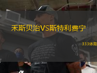 禾斯貝治VS斯特利費(fèi)寧