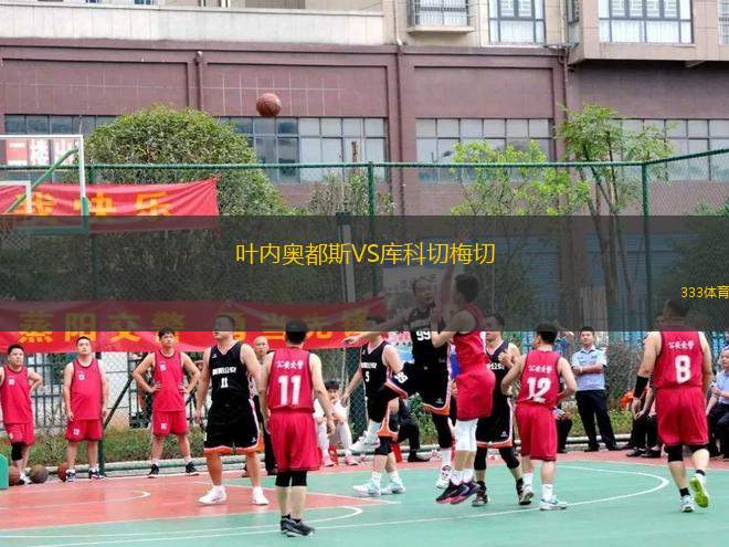 葉內奧都斯VS庫科切梅切